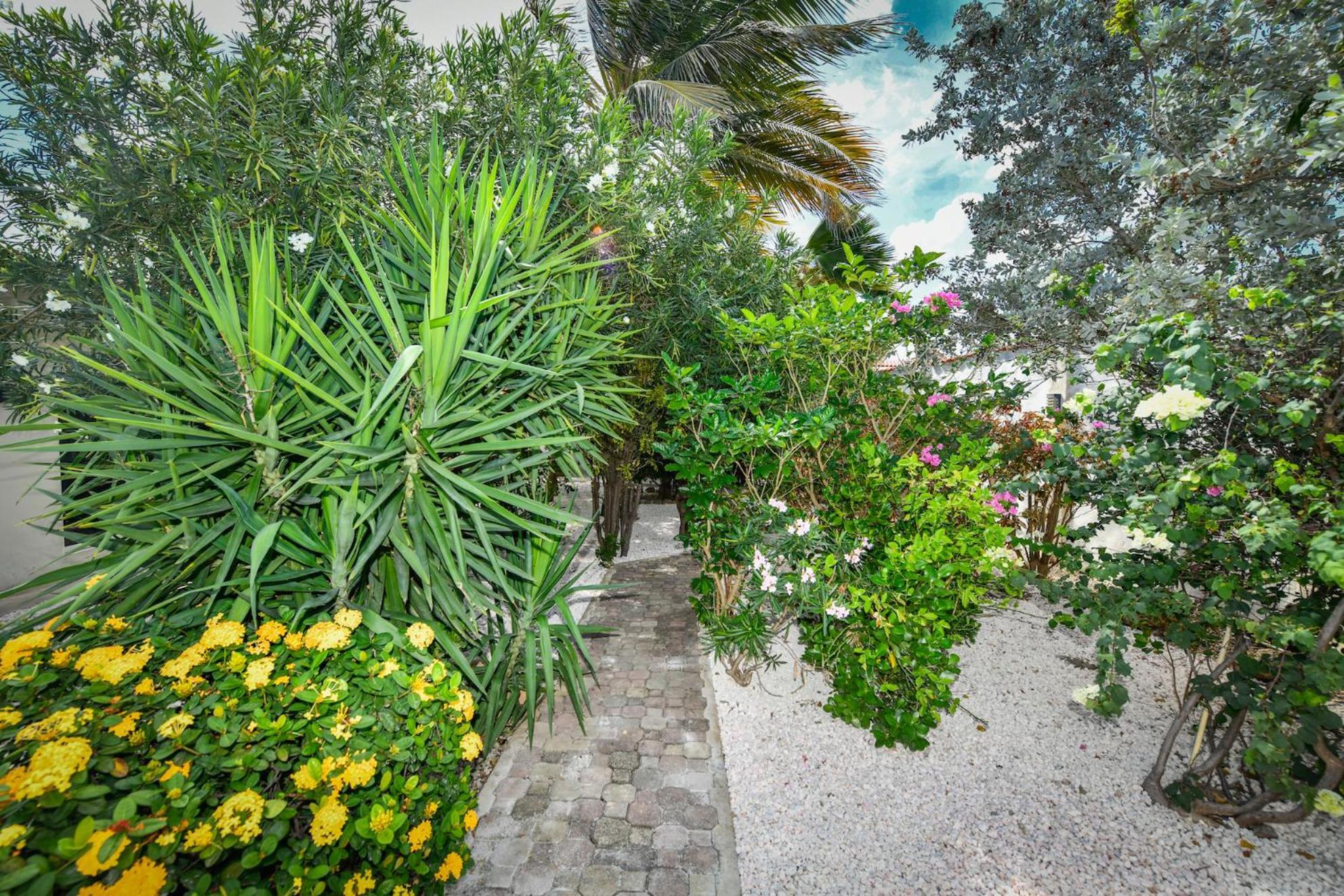Aloe B&B Oranjestad Exterior foto