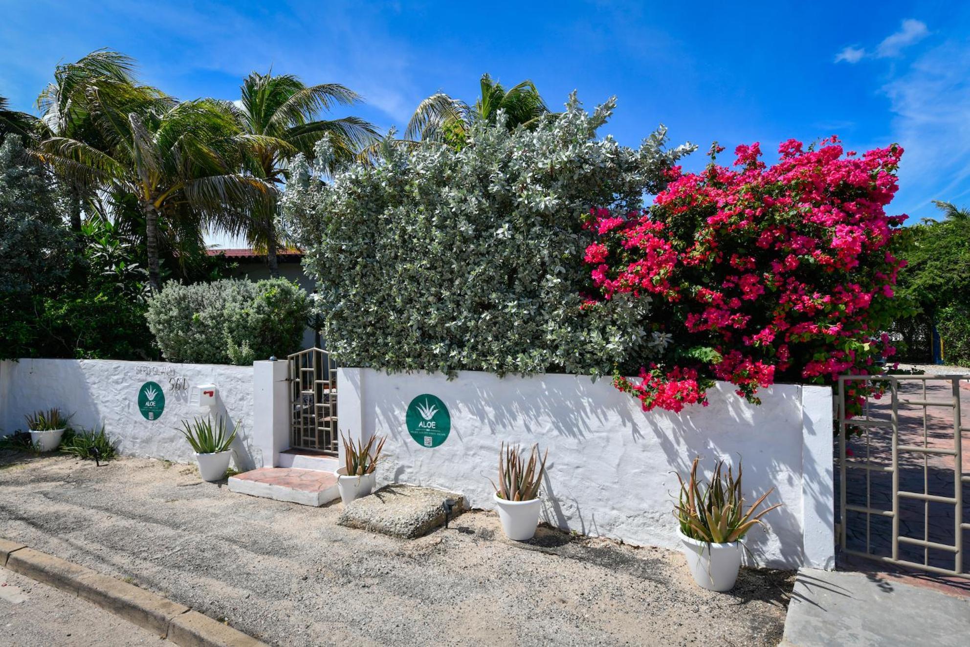 Aloe B&B Oranjestad Exterior foto